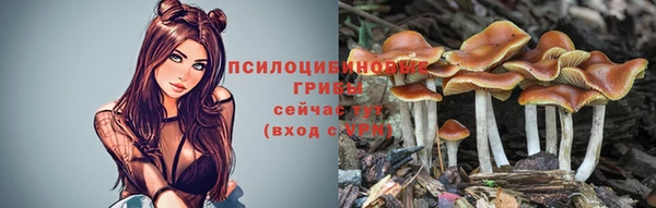 дживик Абаза