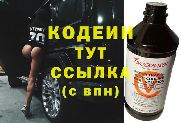 дживик Абаза
