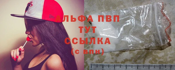 дживик Абаза