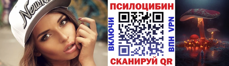 Галлюциногенные грибы Psilocybe наркошоп Торжок